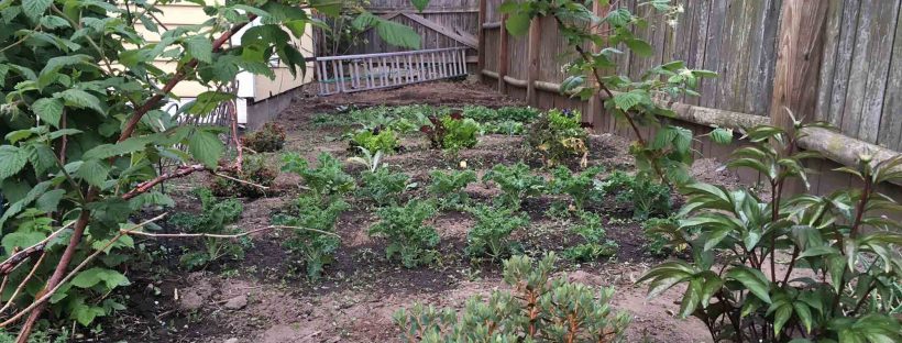 how to manage garden