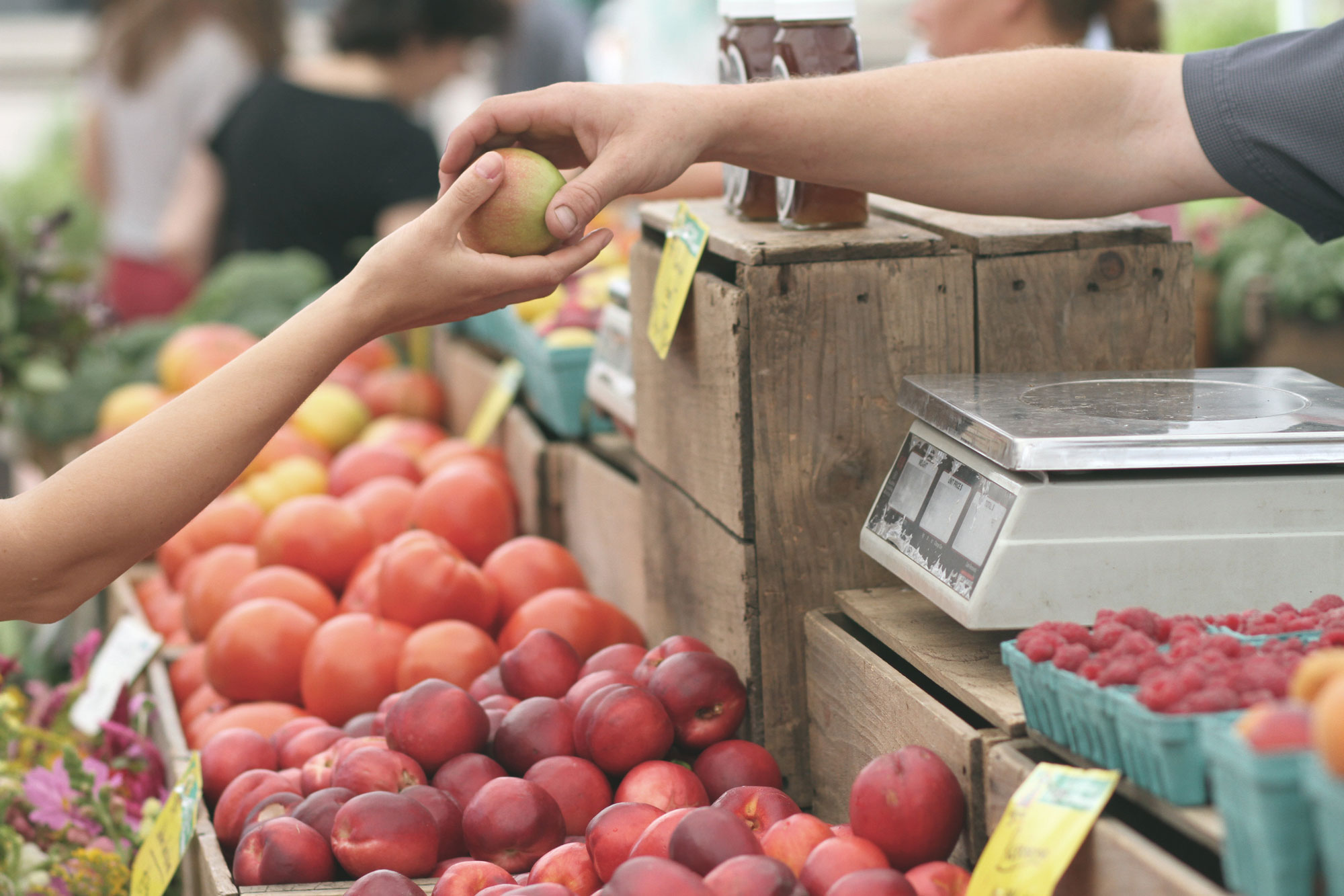 Guide to Boston Farmers’ Markets Consider it Done.