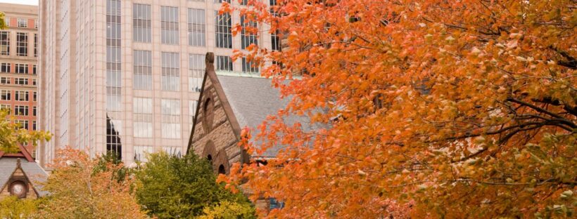 Boston fall leaves